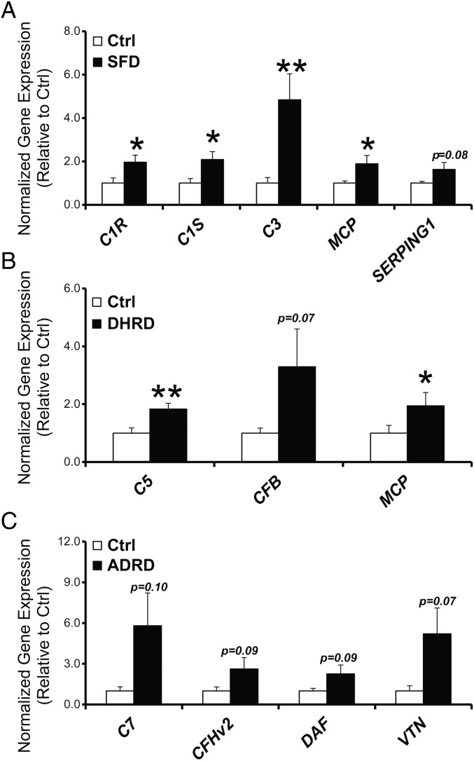 Fig. 6.