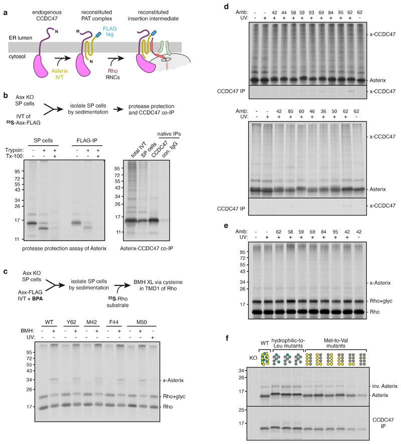 Extended Data Fig. 5