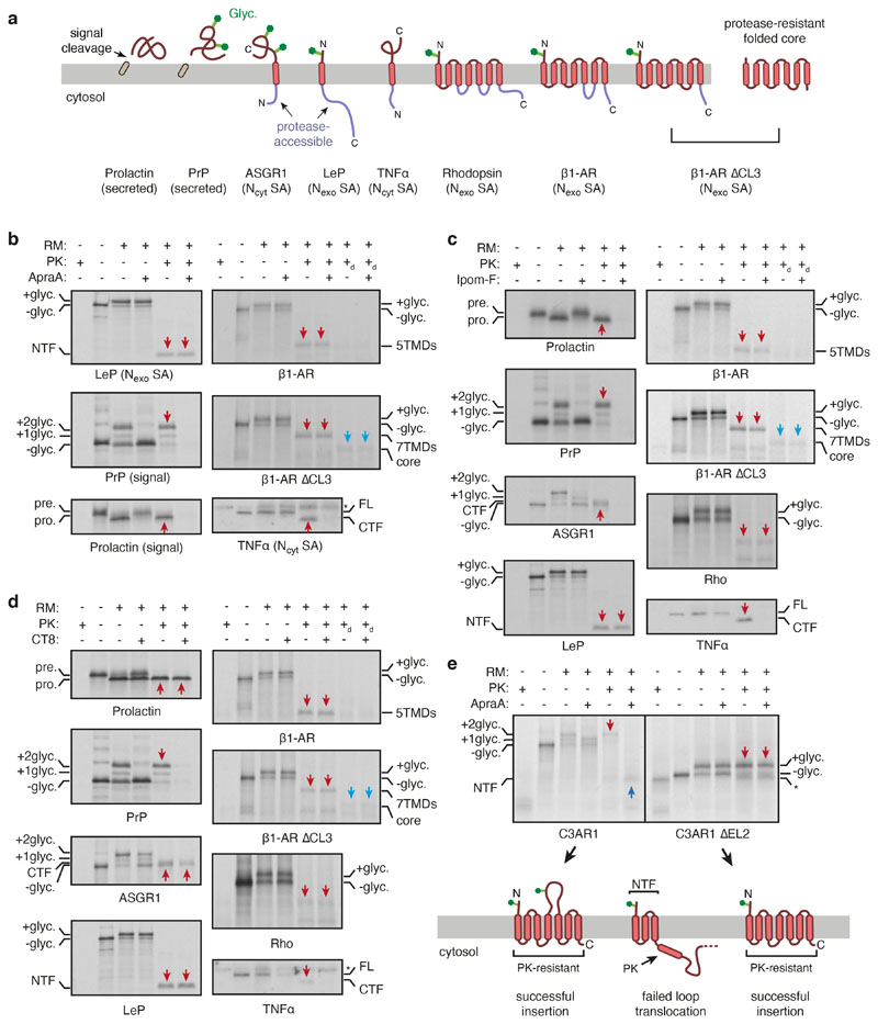 Extended Data Fig. 9