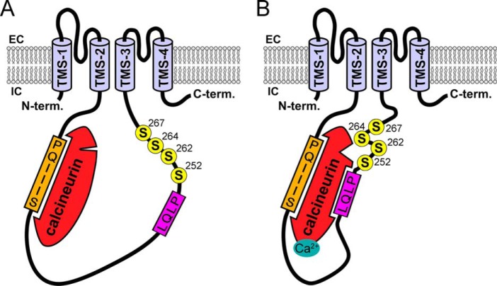 FIGURE 9.