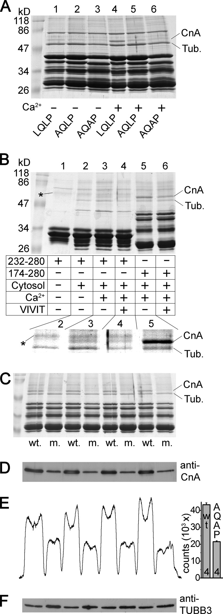 FIGURE 7.