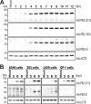 FIG 2