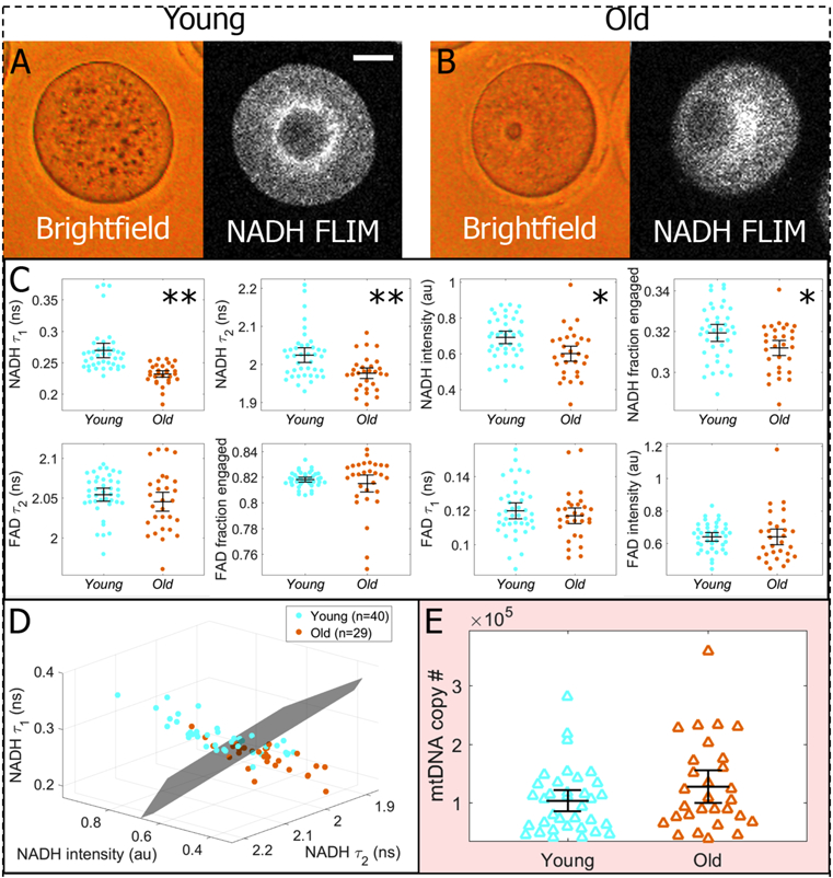 Figure 3: