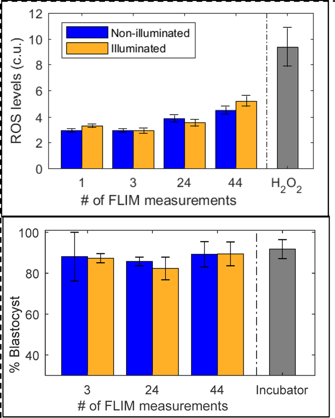 Figure 4: