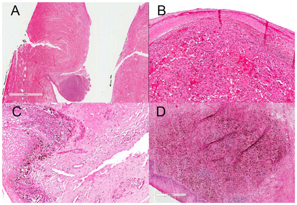 Figure 1: