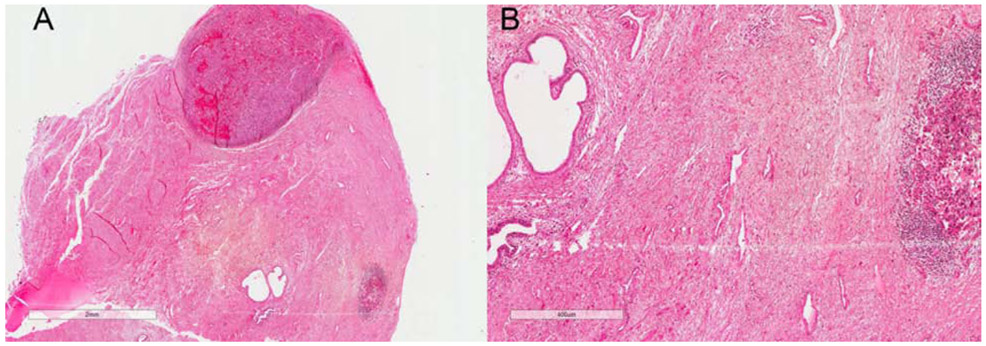 Figure 2: