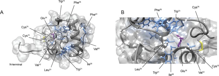 Fig 3