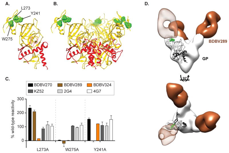 Figure 5