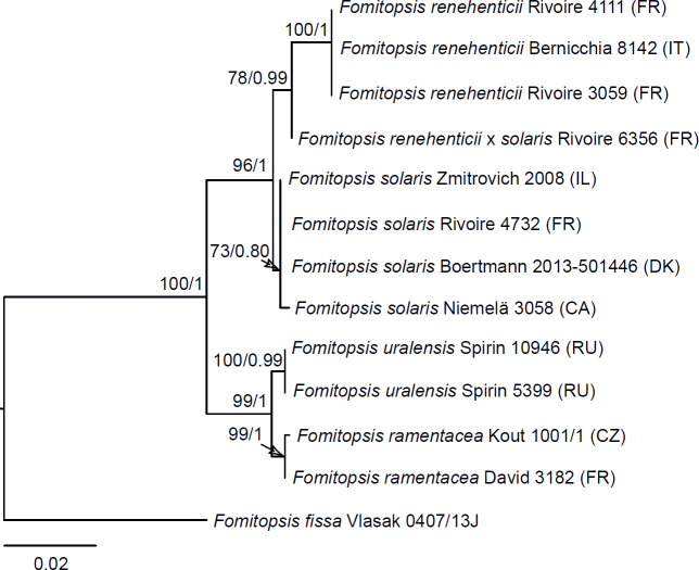 Fig 14.