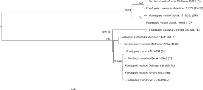 Fig 9.