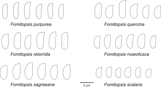 Fig 27.