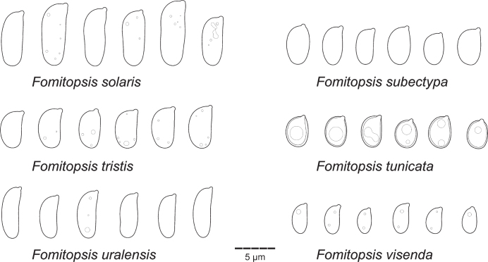 Fig 28.