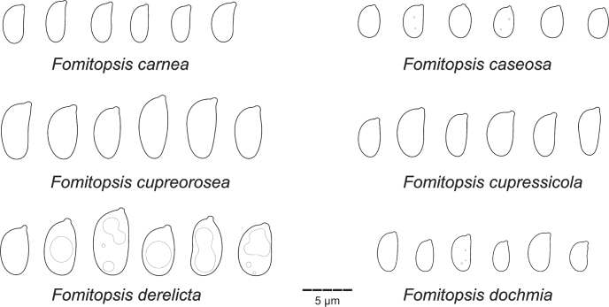 Fig 19.