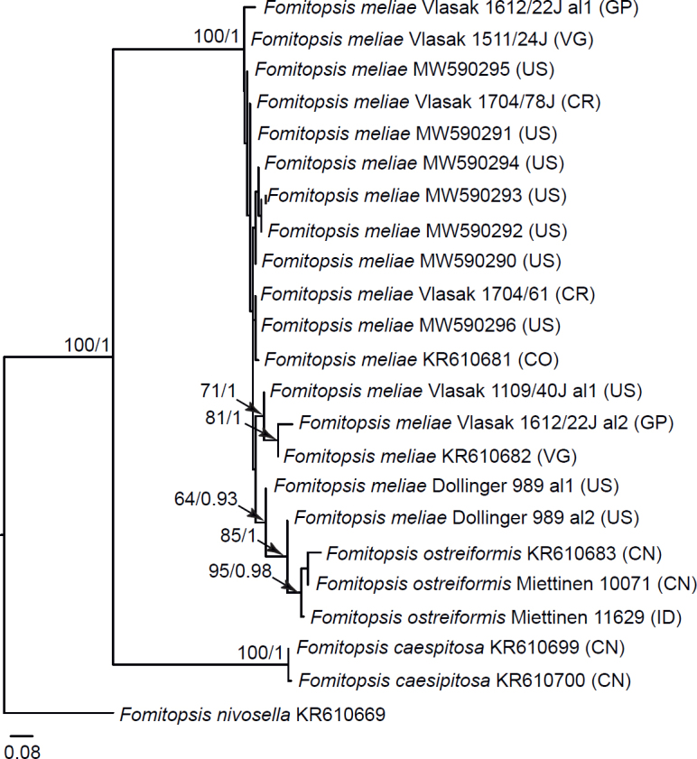 Fig 8.