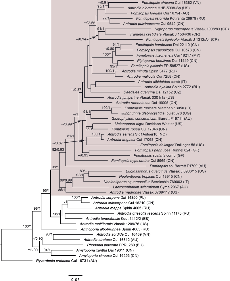 Fig 2.