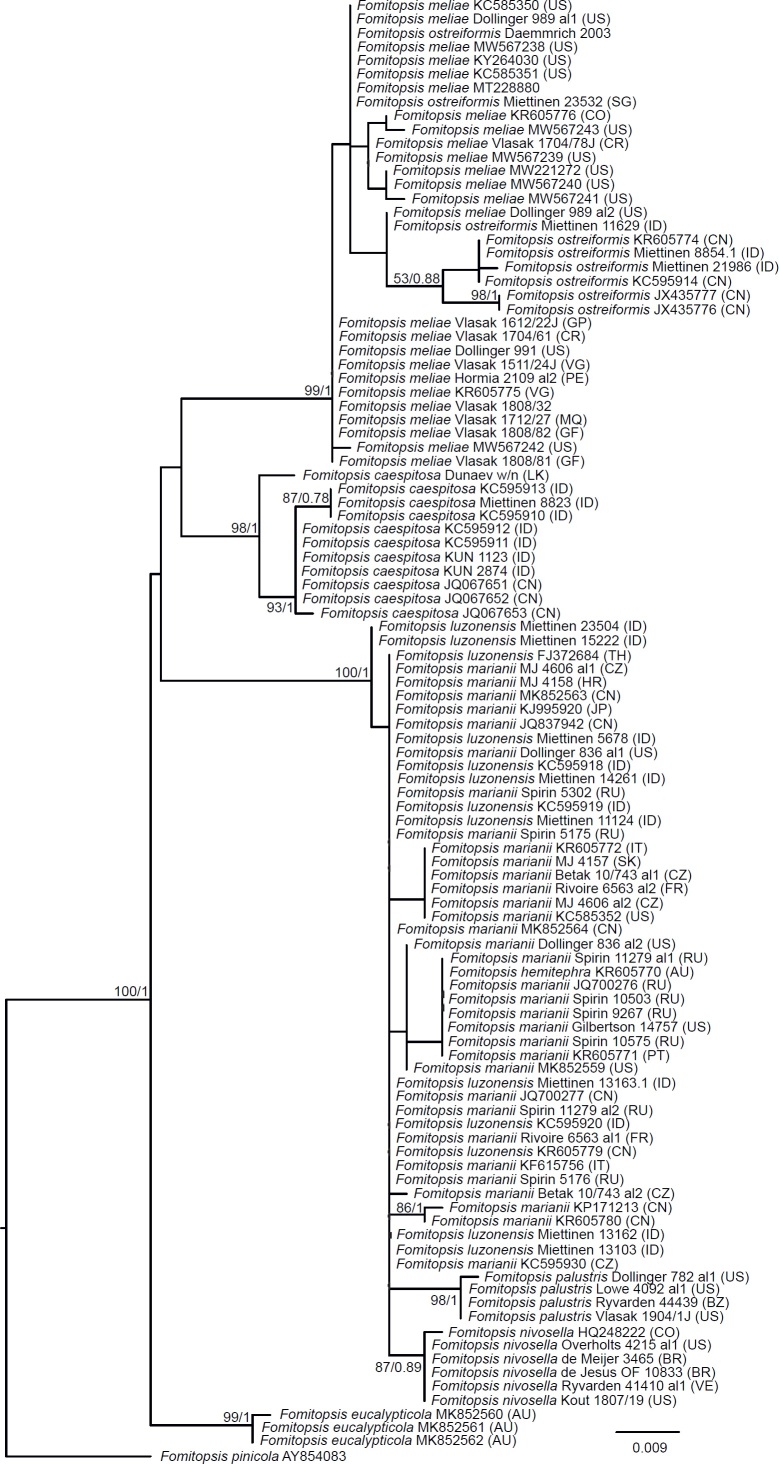 Fig 6.