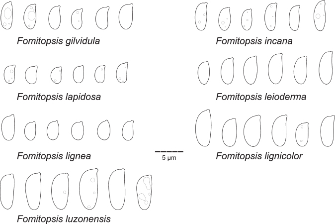 Fig 22.