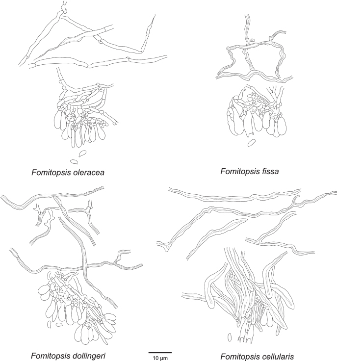 Fig 16.