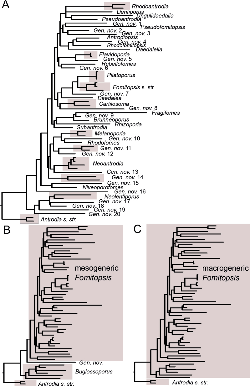 Fig 4.