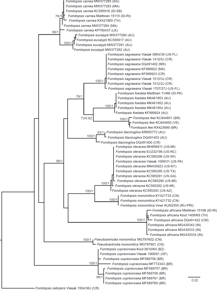 Fig 11.