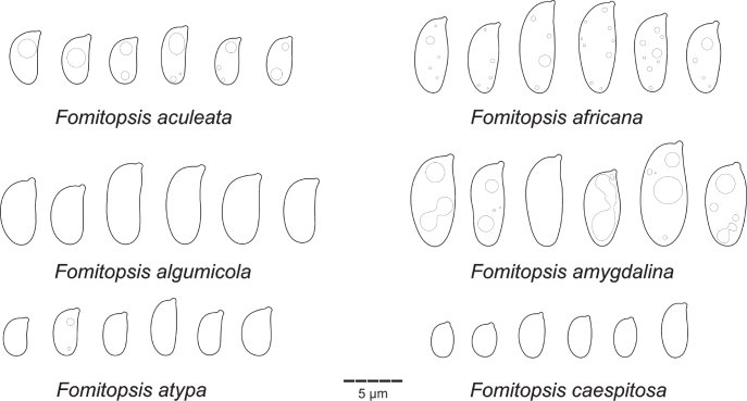 Fig 18.