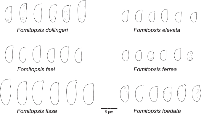 Fig 20.