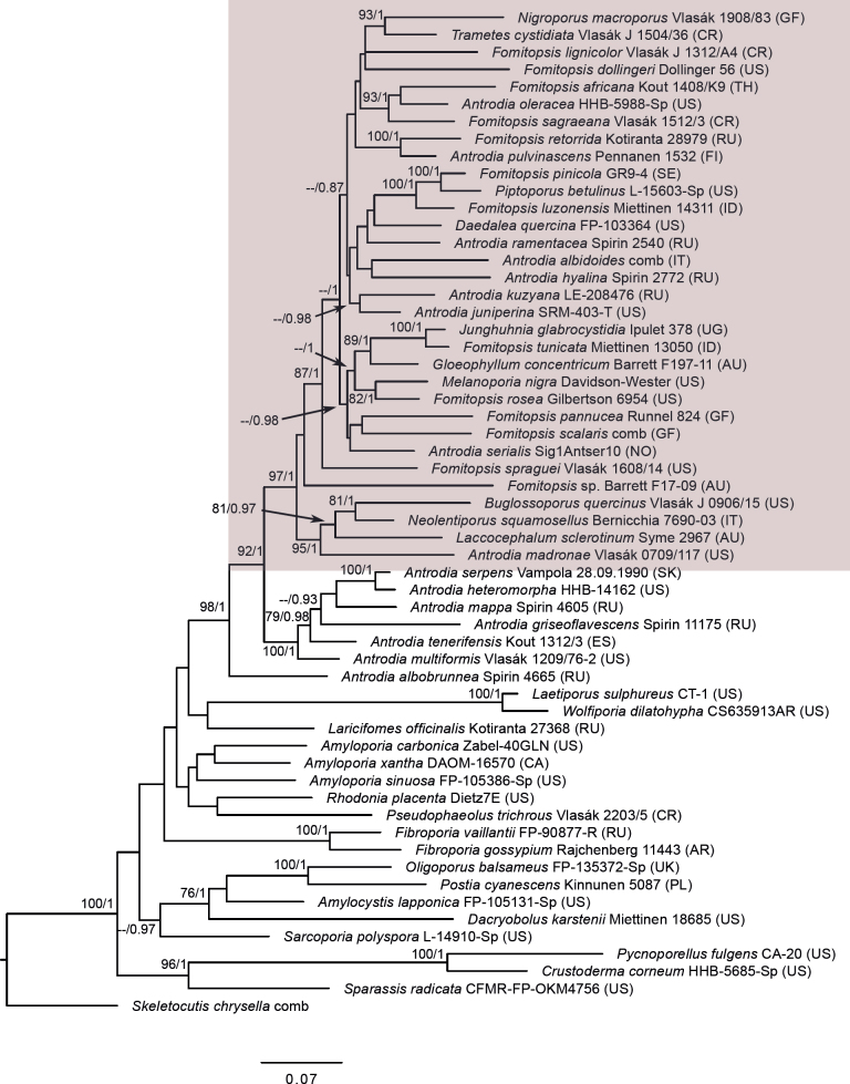 Fig 1.