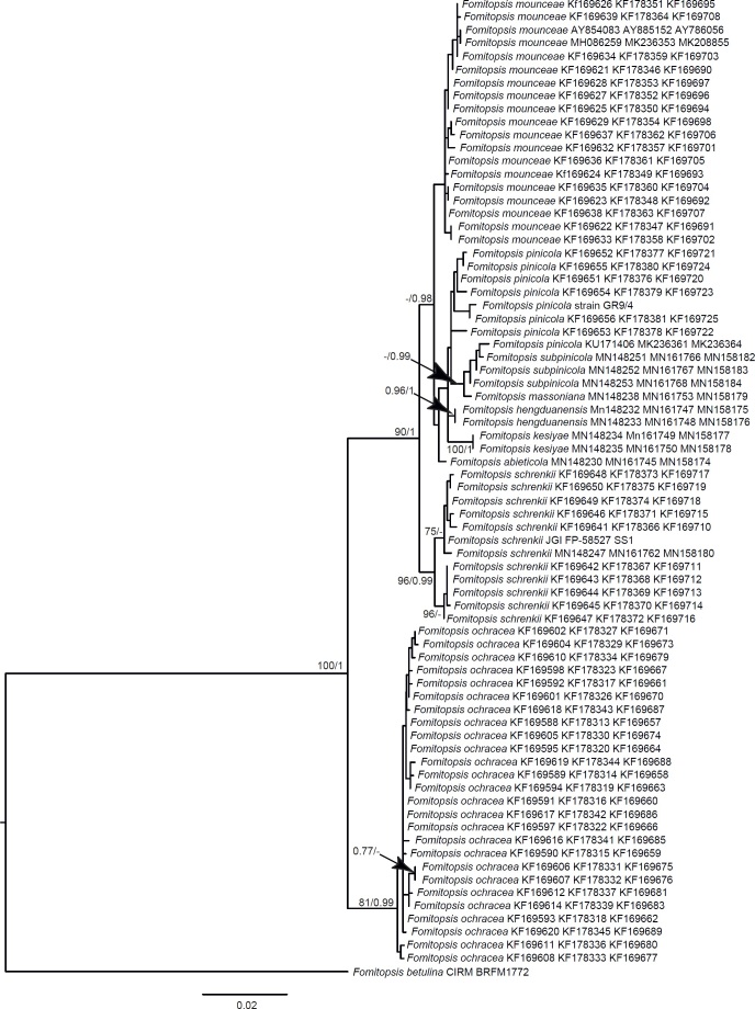 Fig 10.