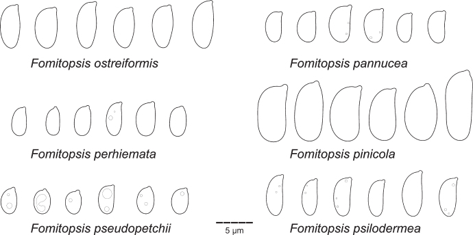 Fig 25.