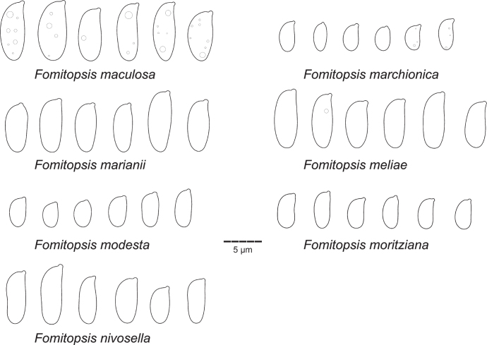 Fig 23.