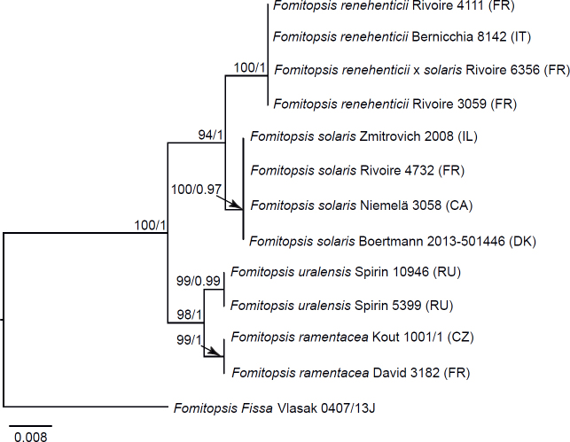 Fig 13.