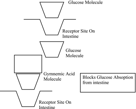 Fig. 3