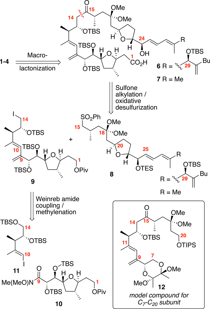 Scheme 1