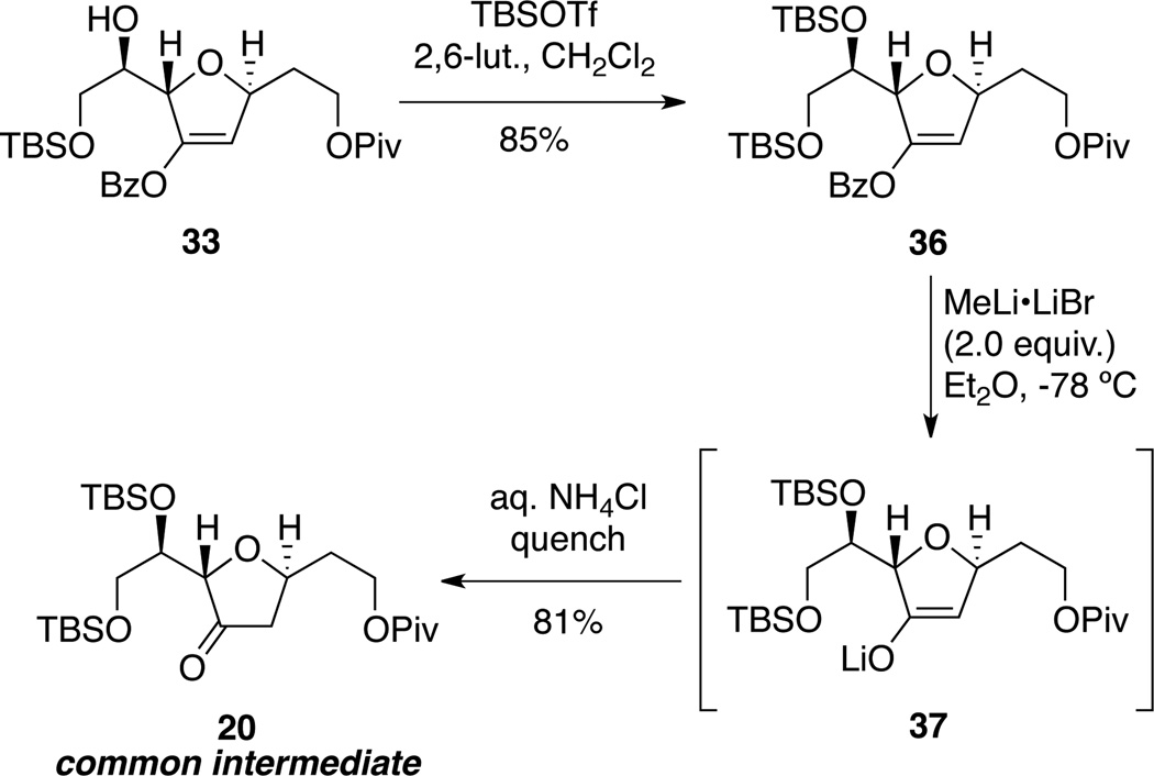 Scheme 6