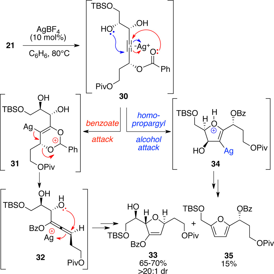 Scheme 5