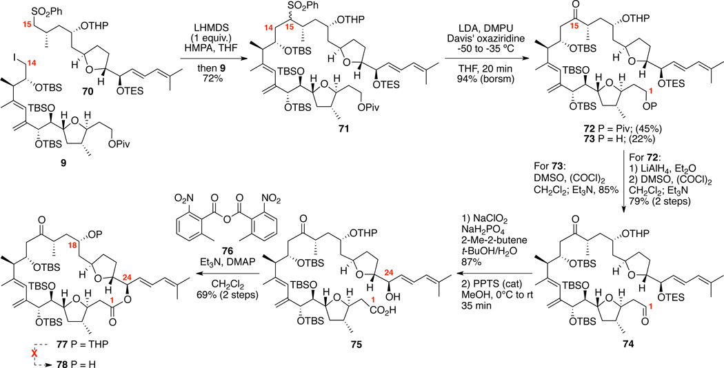 Scheme 12