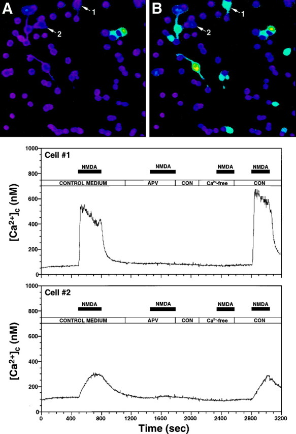 Fig. 6.