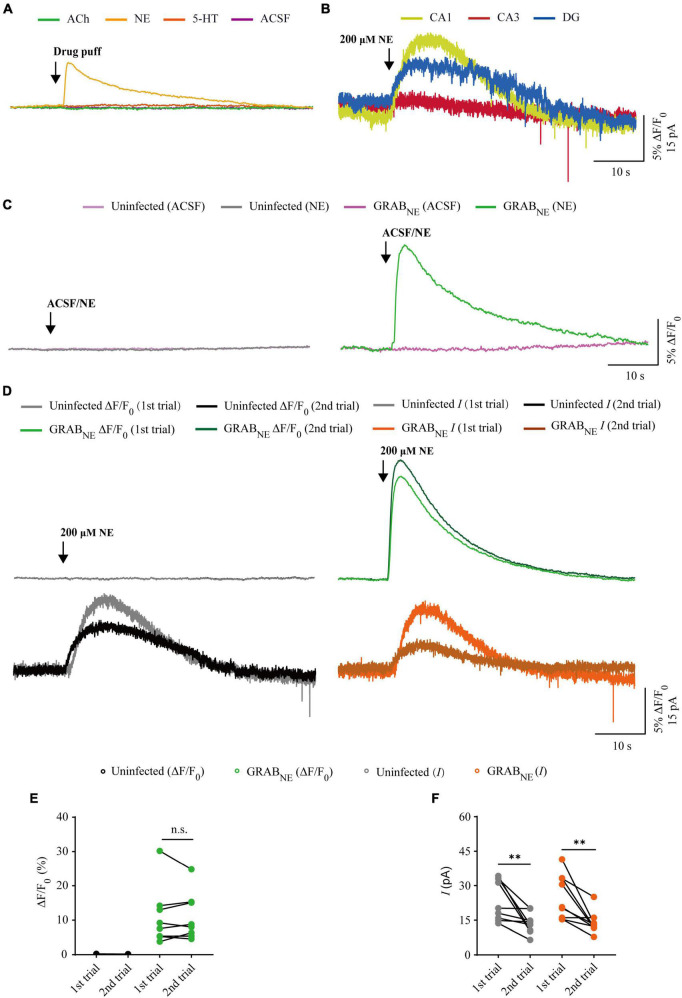 FIGURE 4