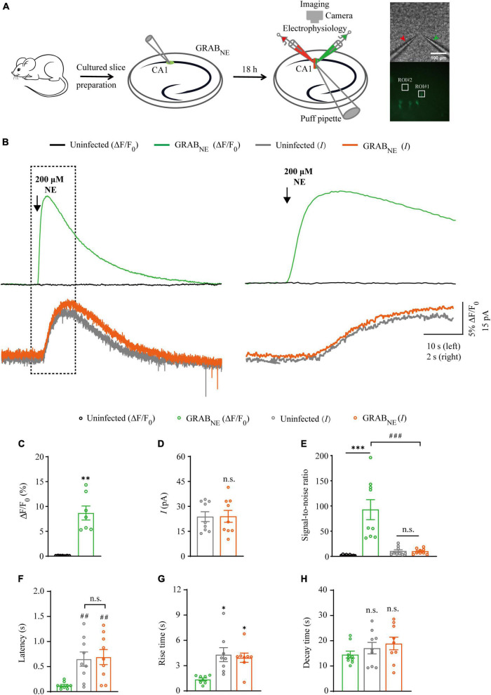 FIGURE 3