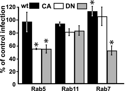 FIG. 9.