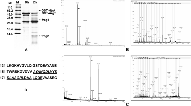 Fig. 8.