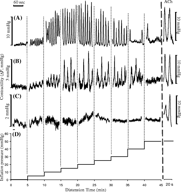 Fig. 3