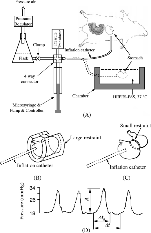 Fig. 1