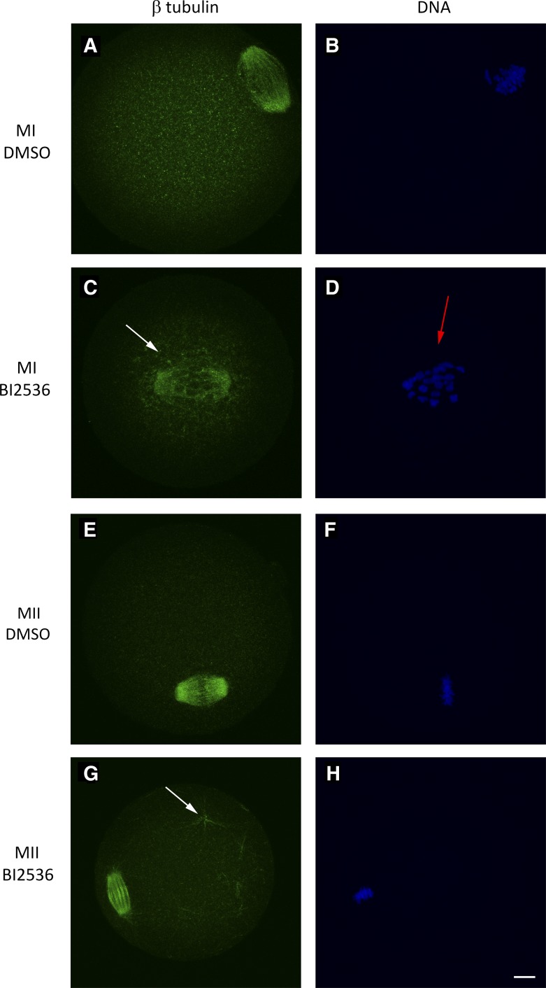 Fig. 9.