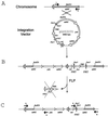 FIG. 3