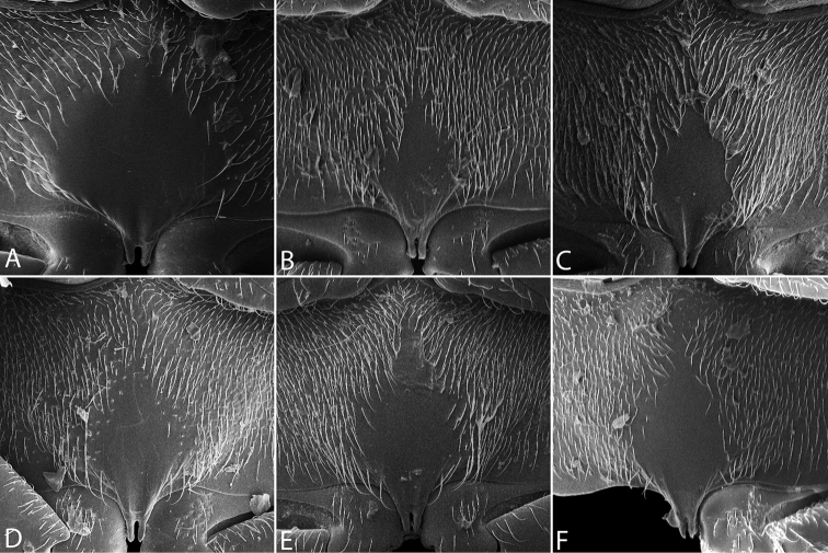 Figure 10.