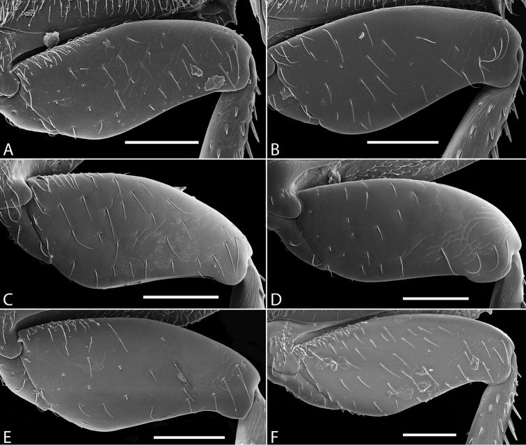 Figure 12.