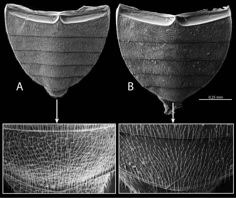 Figure 13.