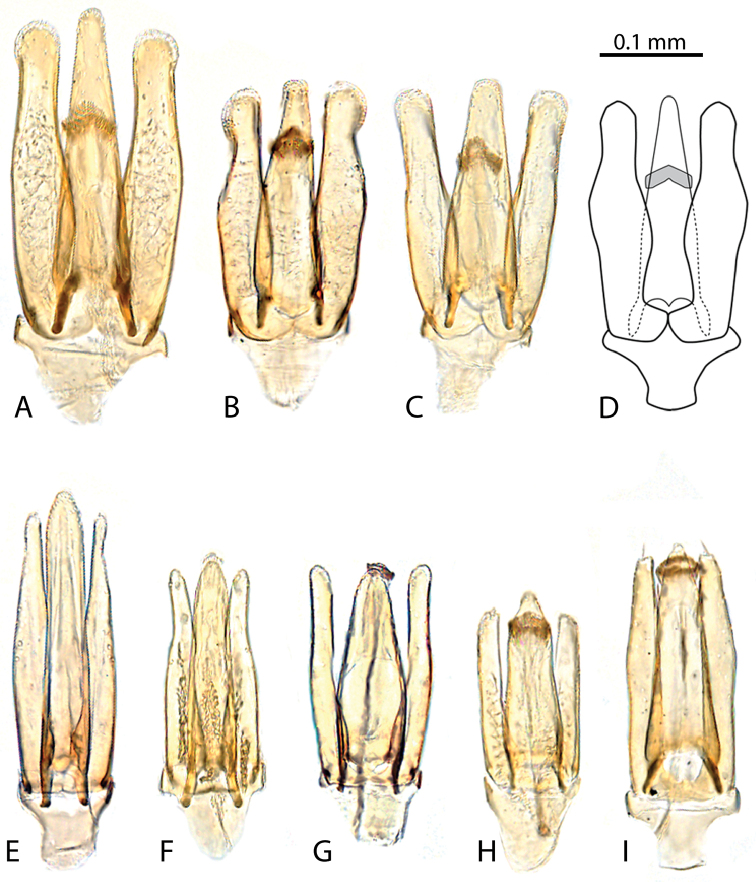 Figure 14.