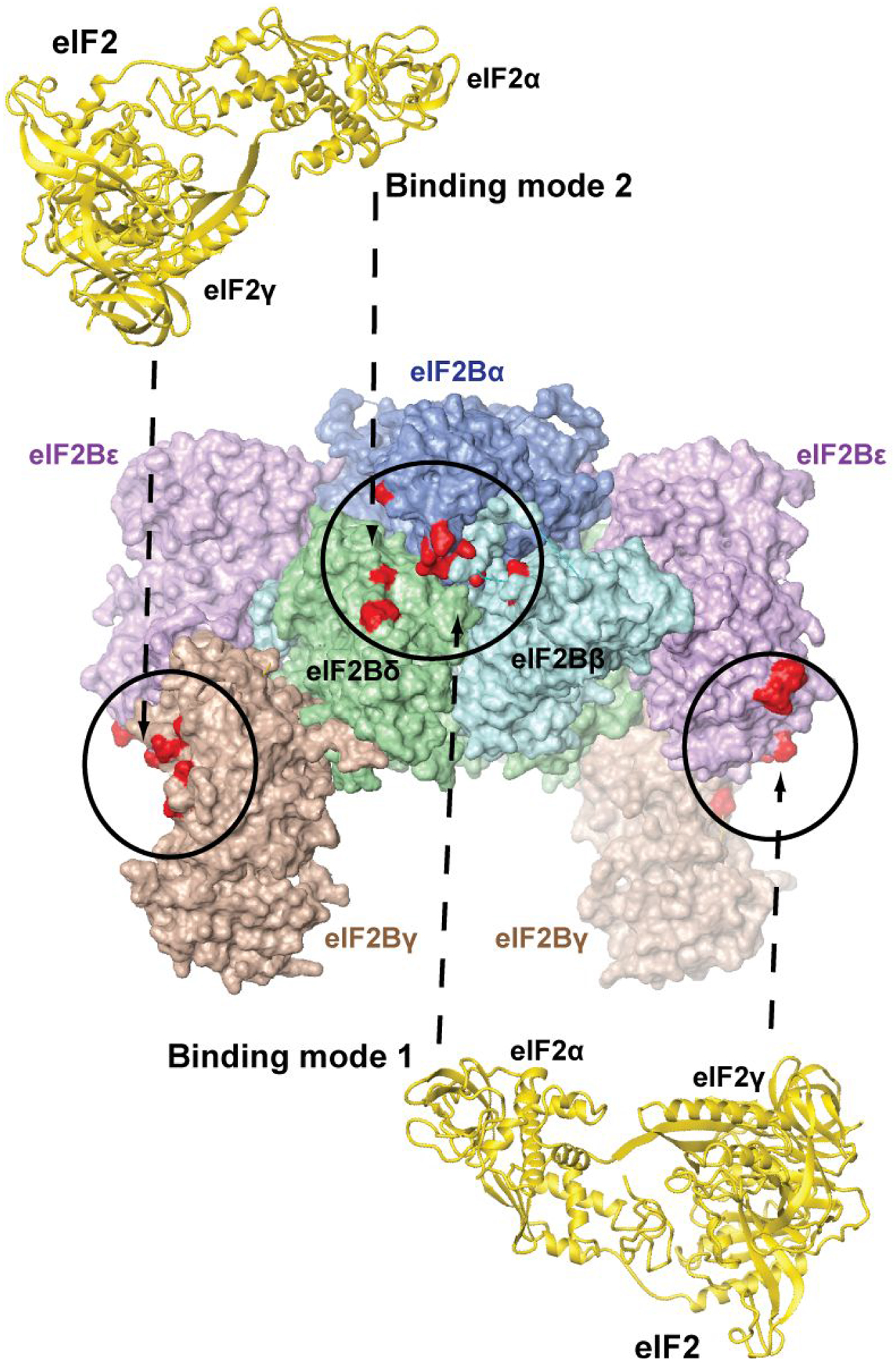 Figure 2.